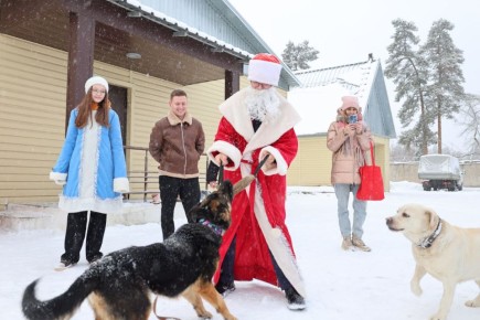 В Пензе общественники и представители «Движения Первых» поздравили с наступающим праздником полицейских и их четвероногих напарников