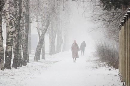 В пензенском Гидрометцентре рассказали, какая погода ждет жителей региона с 30 декабря по 2 января