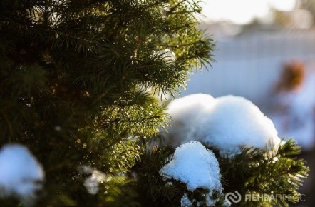 Дорогие наши зрители! Весь коллектив телеканала «Экспресс» поздравляет вас с наступающим Новым годом!