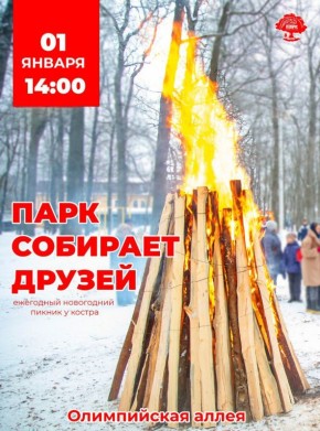 Парк Белинского приглашает всех желающих на традиционный новогодний пикник «Парк собирает друзей»