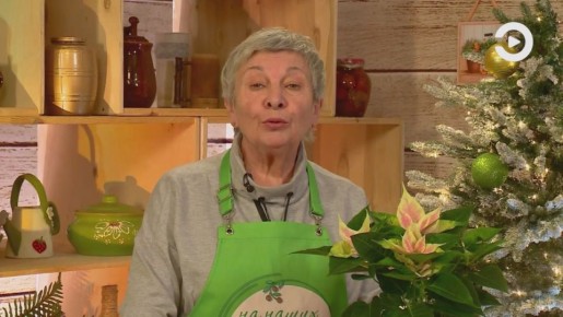 Очередной полезный совет, который точно пригодится всем дачникам уже подготовила для вас Нина Аристарова